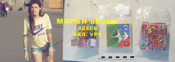 сатива Абинск