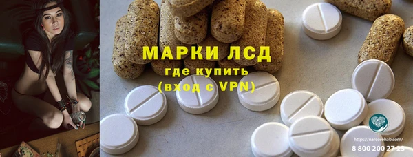 сатива Абинск