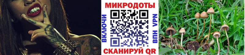 даркнет сайт  KRAKEN вход  Галлюциногенные грибы Cubensis  Алагир 